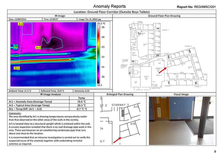 leak-detection-report-page